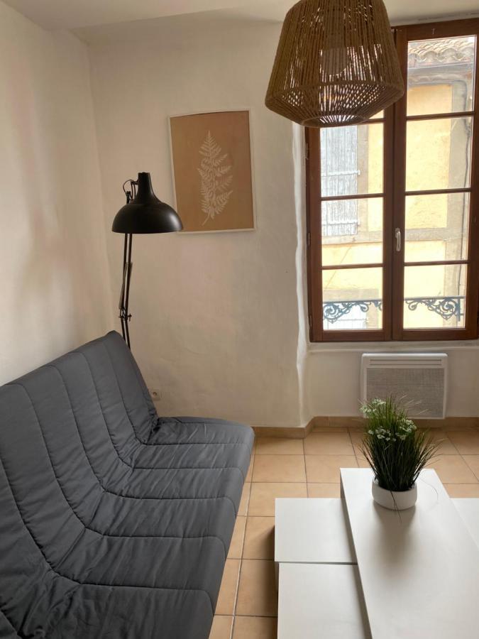 Carcassonne Situe Plein Centre 아파트 외부 사진